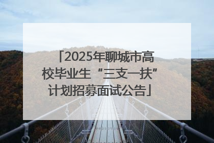 2025年聊城市高校毕业生“三支一扶”计划招募面试公告