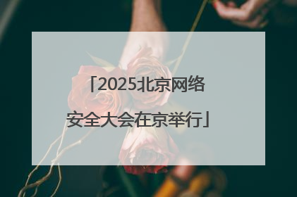 2025北京网络安全大会在京举行