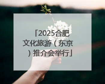 2025合肥文化旅游（东京）推介会举行
