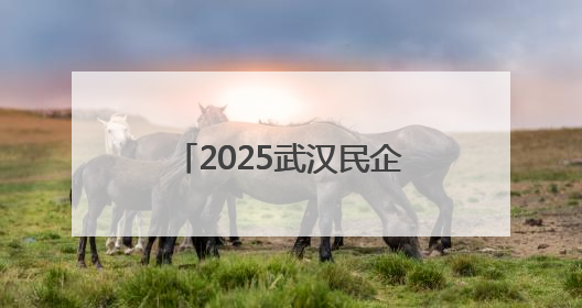 2025武汉民企运动会圆满收官 乔万尼59岁董事长率队羽毛球夺冠