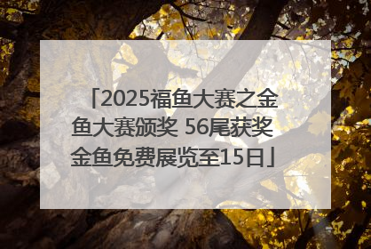 2025福鱼大赛之金鱼大赛颁奖 56尾获奖金鱼免费展览至15日