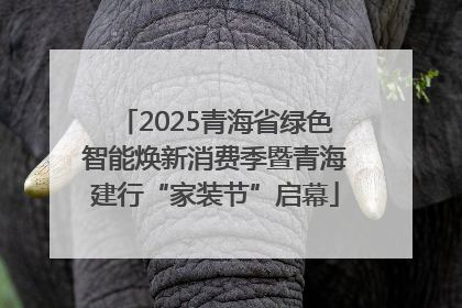 2025青海省绿色智能焕新消费季暨青海建行“家装节”启幕