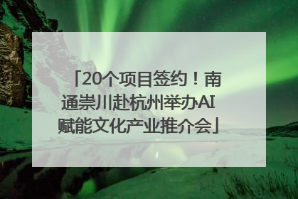 20个项目签约！南通崇川赴杭州举办AI赋能文化产业推介会