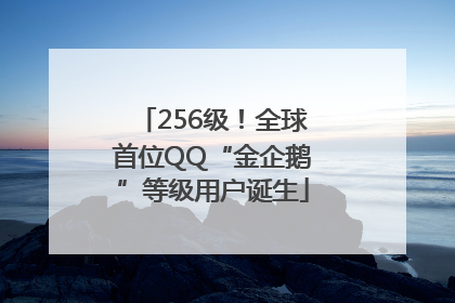 256级！全球首位QQ“金企鹅”等级用户诞生