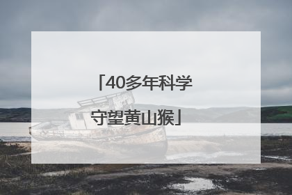40多年科学守望黄山猴