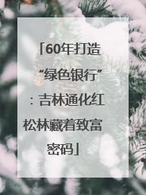 60年打造“绿色银行”：吉林通化红松林藏着致富密码