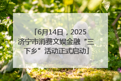 6月14日，2025济宁市消费文娱金融“三下乡”活动正式启动