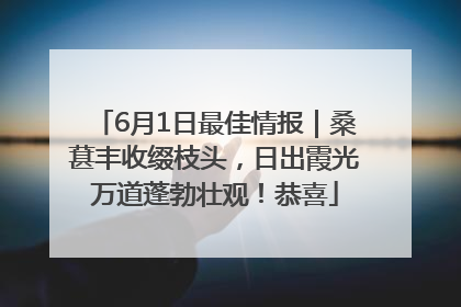 6月1日最佳情报｜桑葚丰收缀枝头，日出霞光万道蓬勃壮观！恭喜