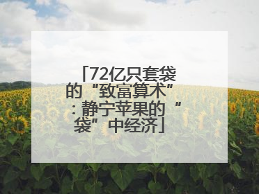 72亿只套袋的“致富算术”：静宁苹果的“袋”中经济