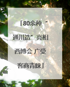 80余种“通川造”亮相西博会 广受客商青睐