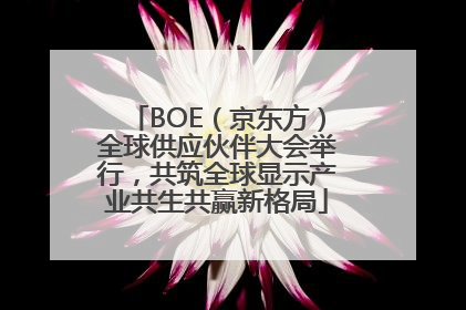 BOE（京东方）全球供应伙伴大会举行，共筑全球显示产业共生共赢新格局