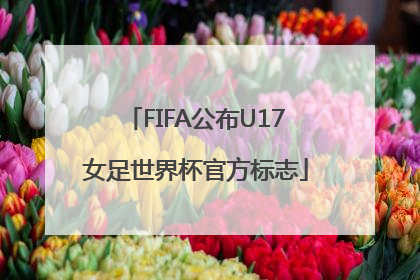 FIFA公布U17女足世界杯官方标志