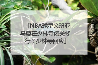 NBA球星文班亚马要在少林寺闭关修行？少林寺回应