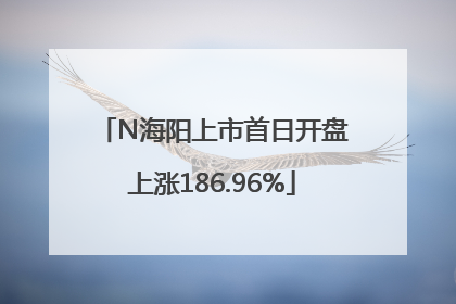 N海阳上市首日开盘上涨186.96%