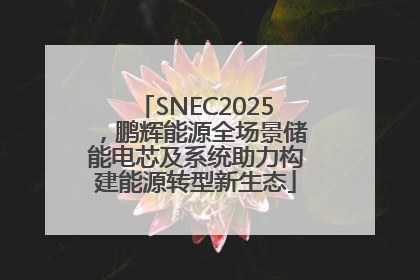 SNEC2025，鹏辉能源全场景储能电芯及系统助力构建能源转型新生态