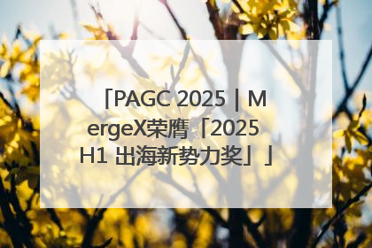 PAGC 2025｜MergeX荣膺「2025 H1 出海新势力奖」