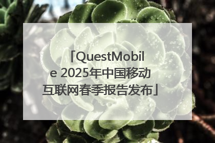QuestMobile 2025年中国移动互联网春季报告发布